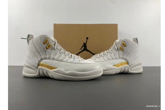 FD9101-007  FD9101-007 12 Jordan Phantom Retro 0828